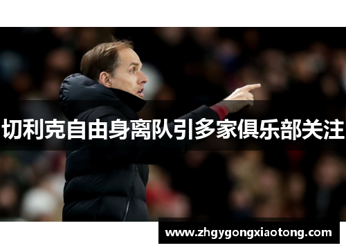 切利克自由身离队引多家俱乐部关注